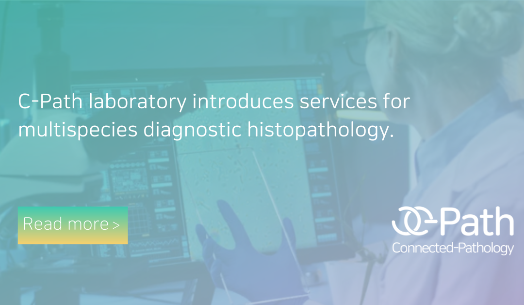 Advanced Veterinary Histopathology Services for Multispecies Diagnostics