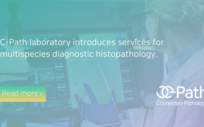 Advanced Veterinary Histopathology Services for Multispecies Diagnostics
