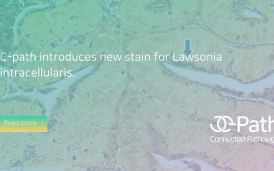 New stain for Lawsonia intracellularis